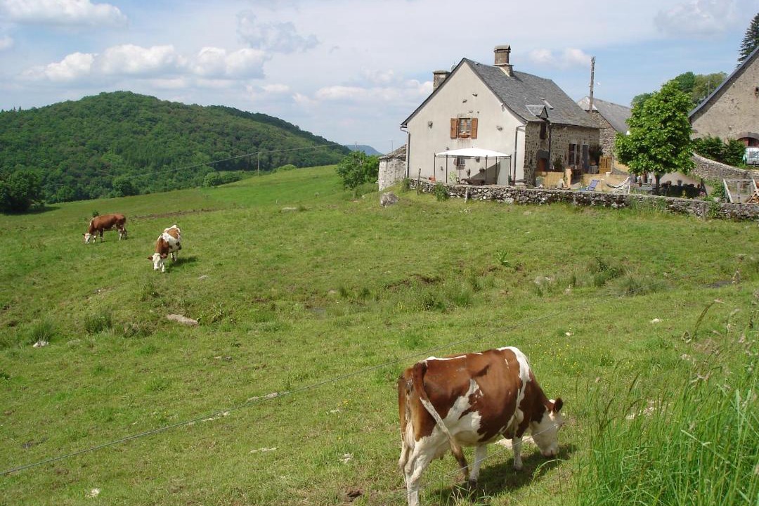 Photo of Others in Sauvat