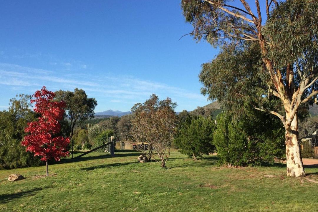 Photo of Others in Mountain Bay