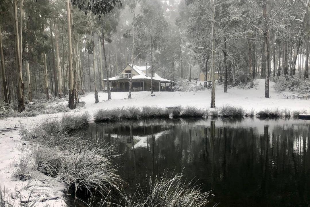 Photo of Others in Tolmie