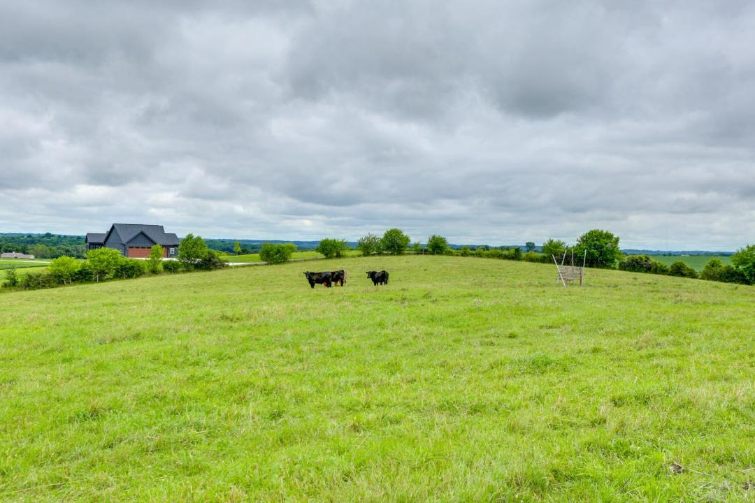 Photo of Others in Mount Horeb