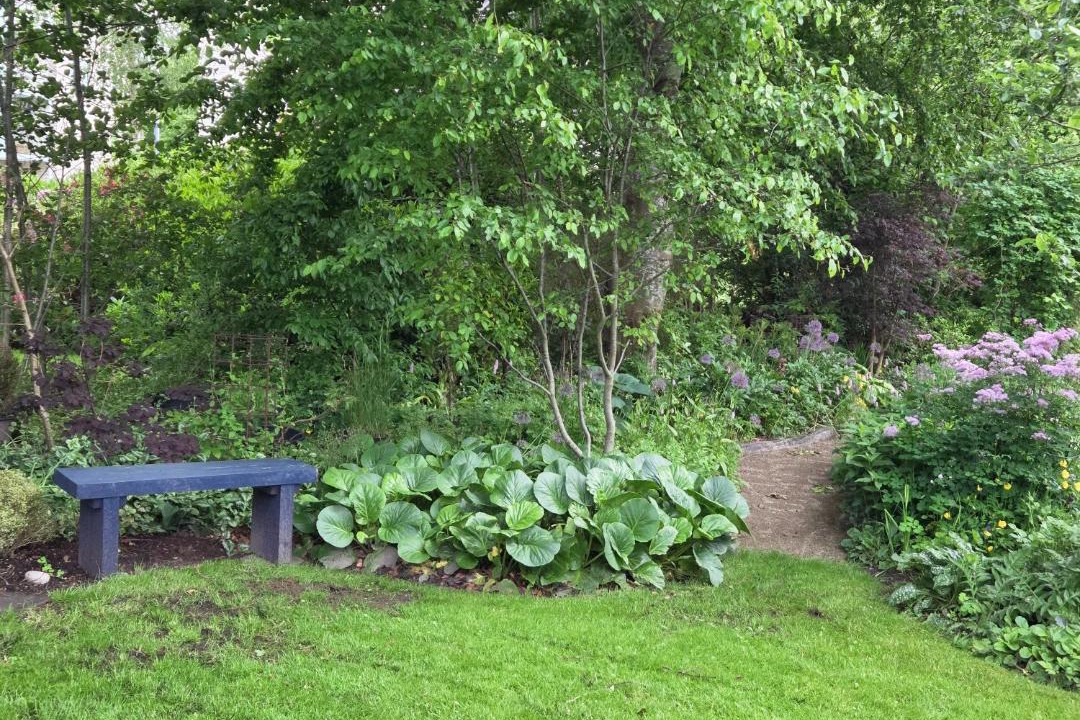 Photo of Others in Videbaek
