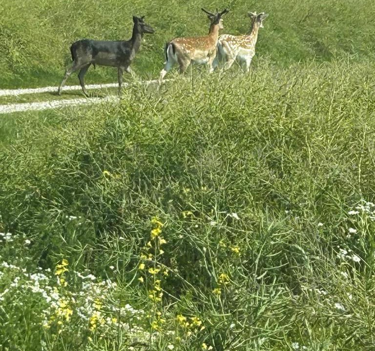 Photo of Others in Spøttrup