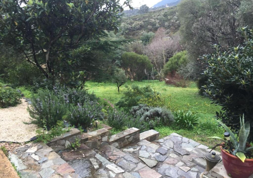 Photo of Others in Furiani