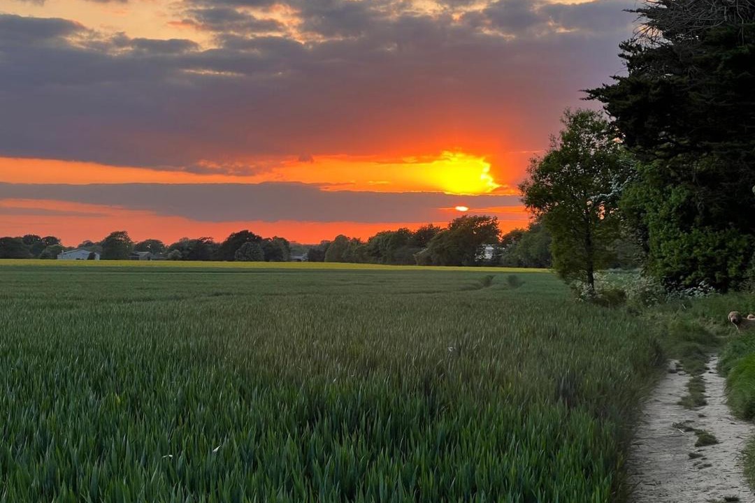 Photo of Others in Ford