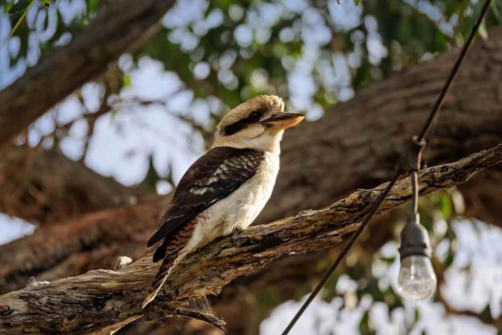 Photo of Others in Metung