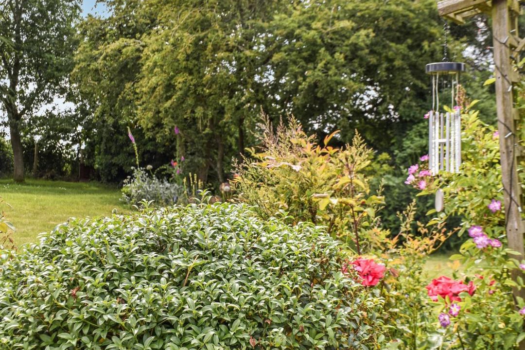 Photo of Others in Surlingham