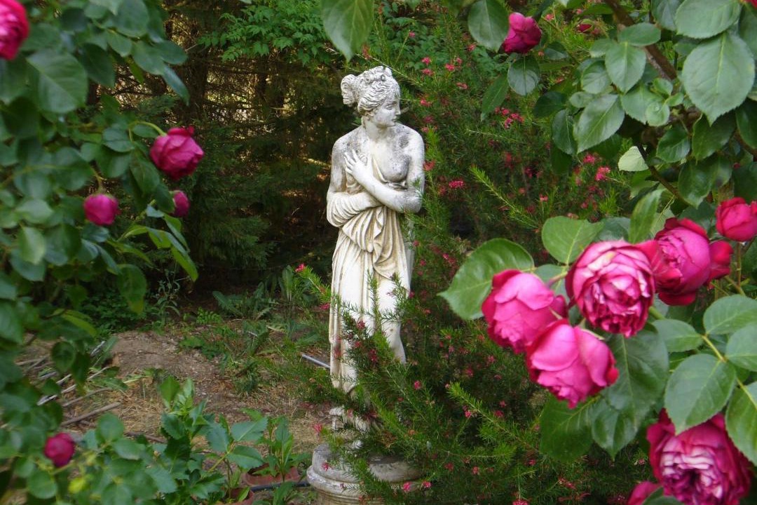 Photo of Others in Saint-Denis-de-Pile