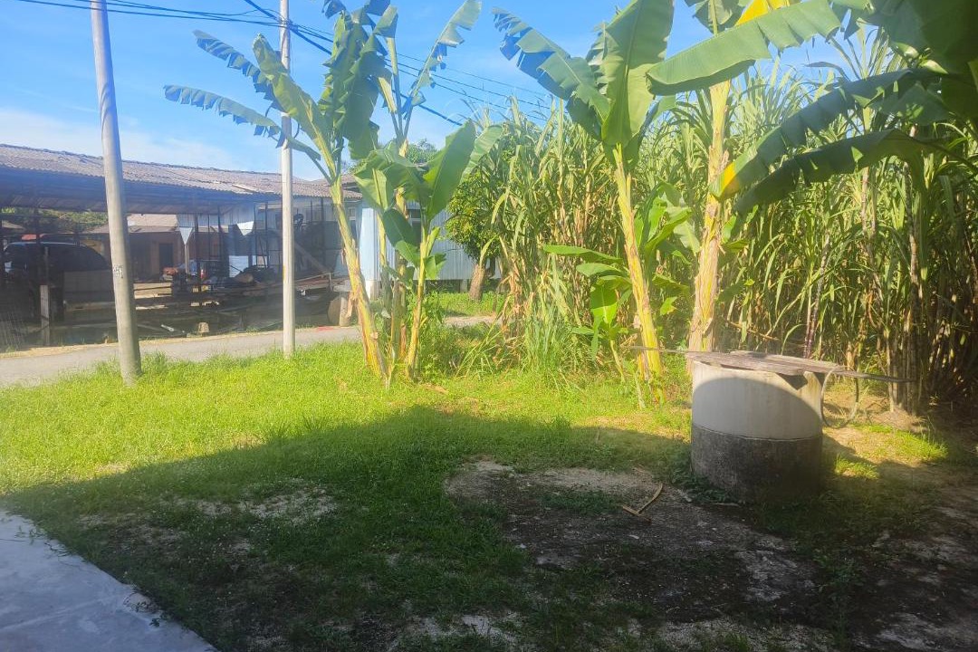 Photo of Outdoor in Kampung Rambutan Rendang