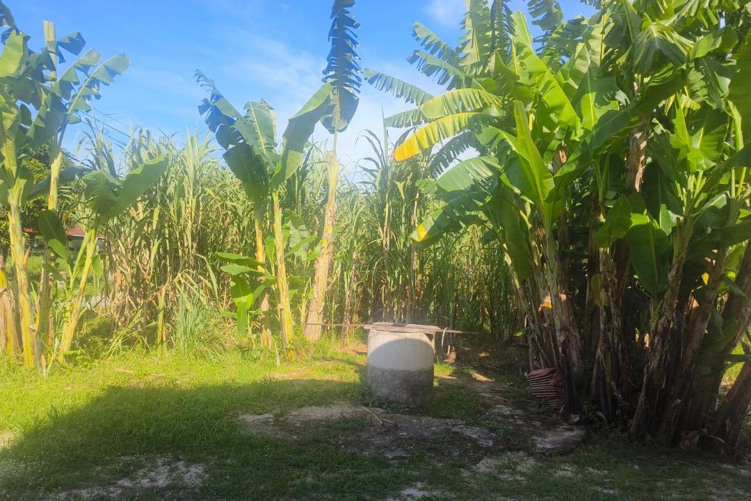 Photo of Others in Kampung Rambutan Rendang