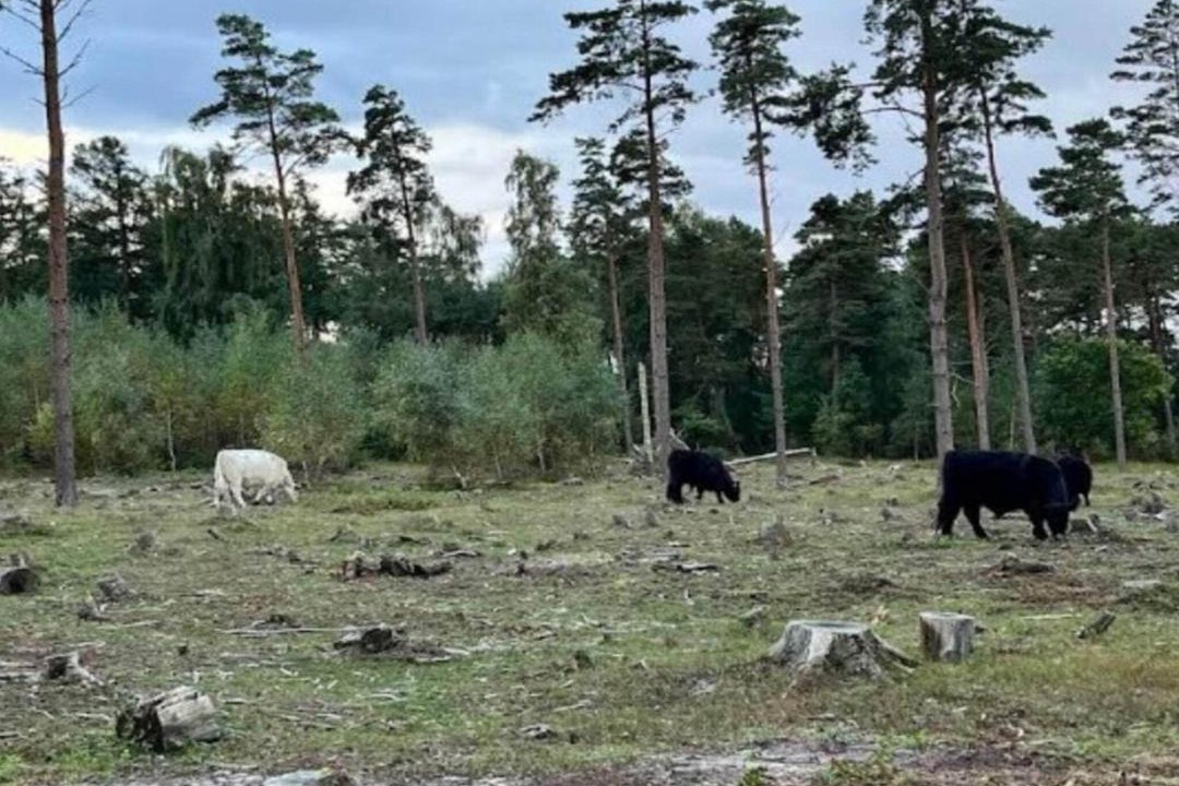 Photo of Others in Faldsled