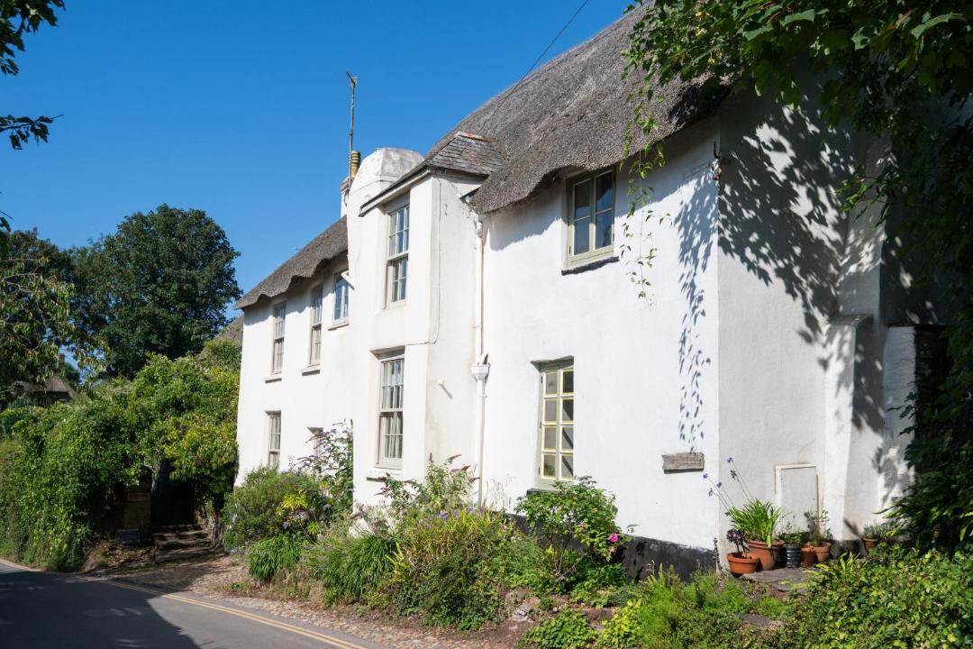 Photo of Others in Thurlestone