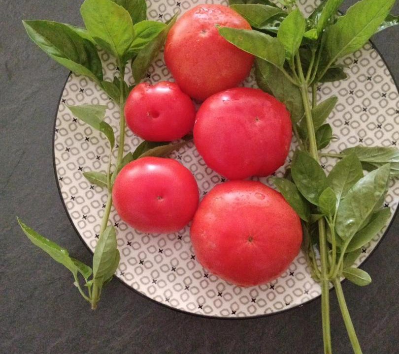 Photo of Others in Saint-Martin-Boulogne