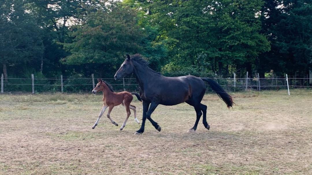 Photo of Others in Durtal