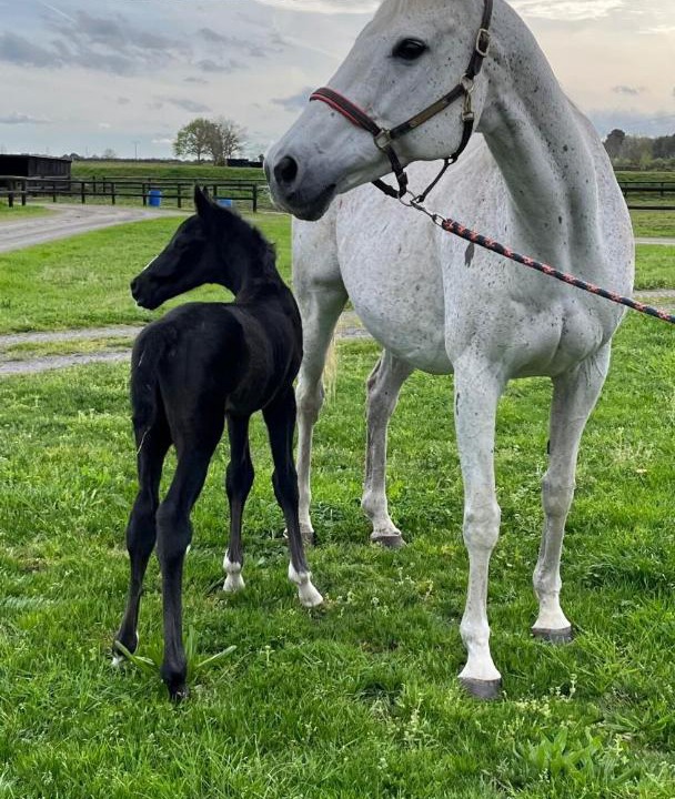 Photo of Others in Durtal