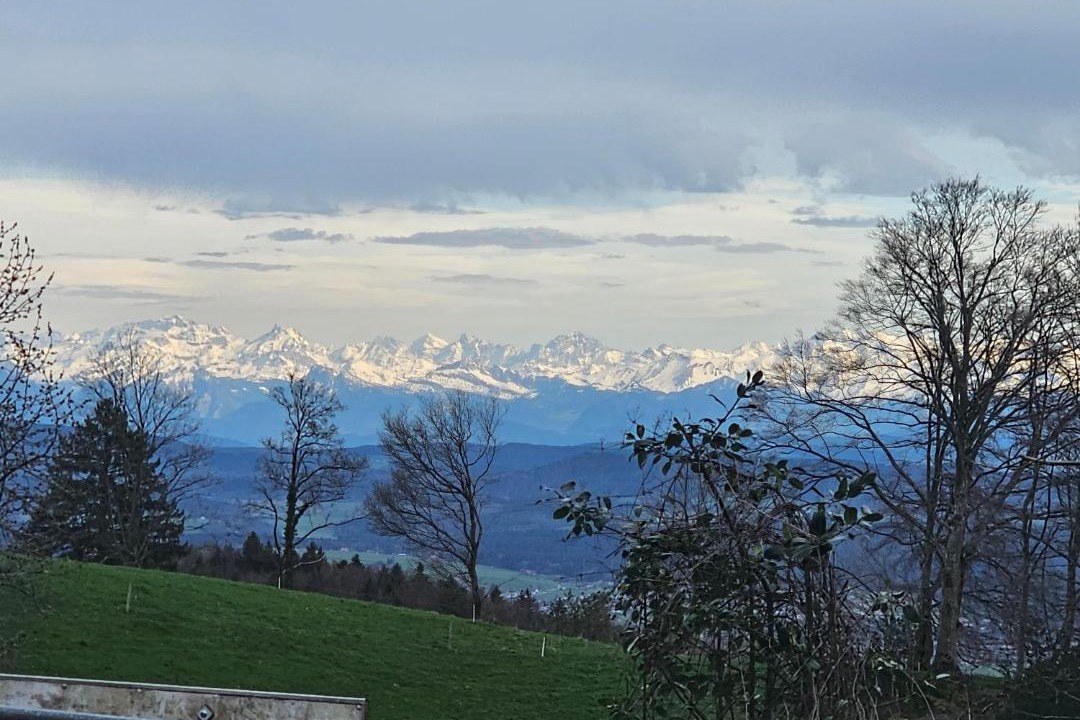 Photo of Others in Oberbuchsiten