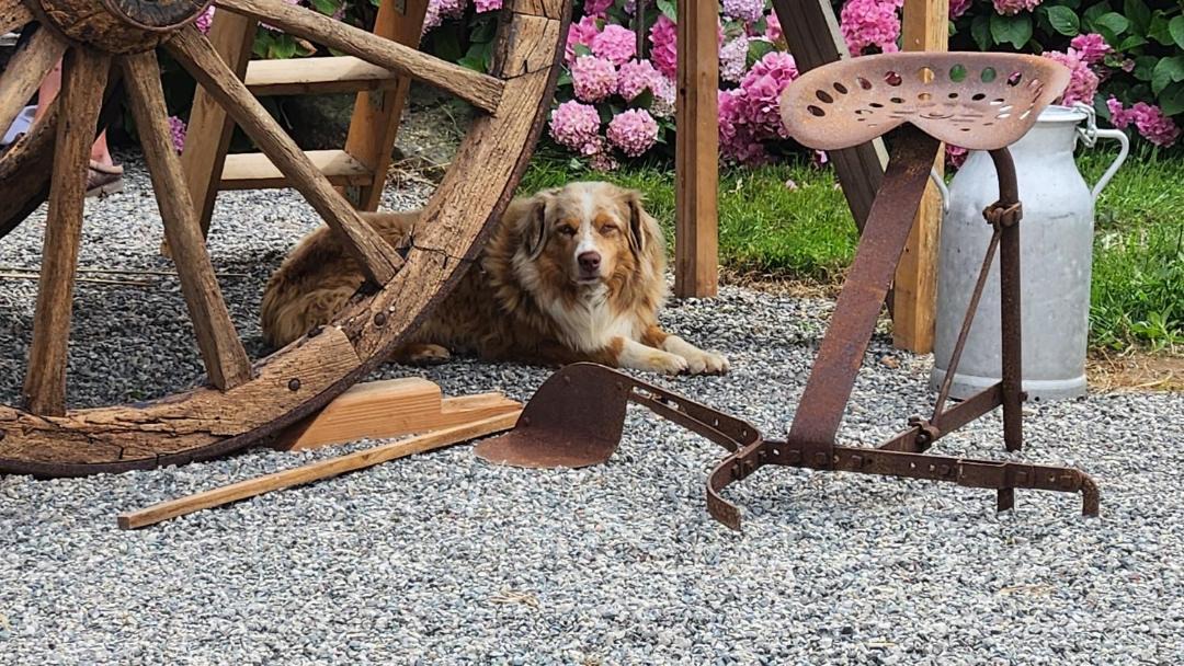 Photo of Others in Saint-Aubin-de-Locquenay