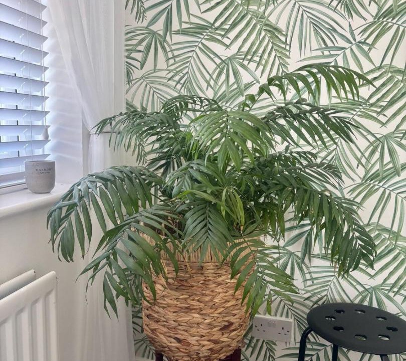 Photo of Others in Hartlepool