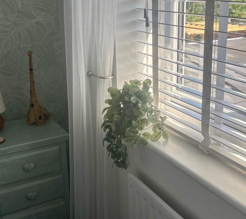 Photo of Others in Hartlepool