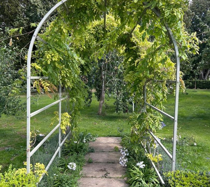 Photo of Others in The Pelhams