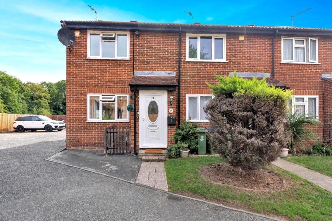 Photo of Others in Belvedere