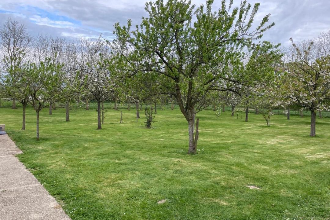 Photo of Outdoor in La Vaupaliere