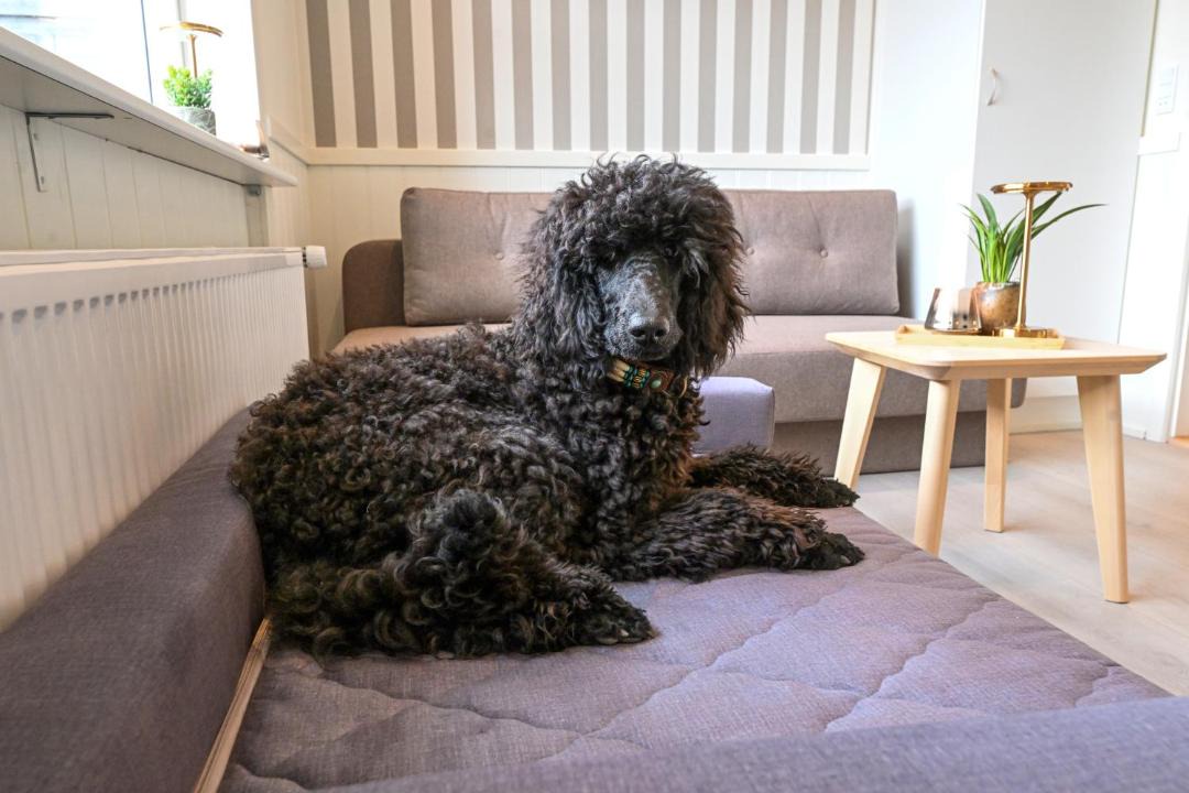 Photo of Livingroom in Rold