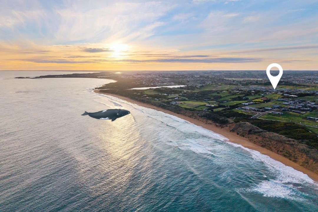 Photo of Others in Warrnambool