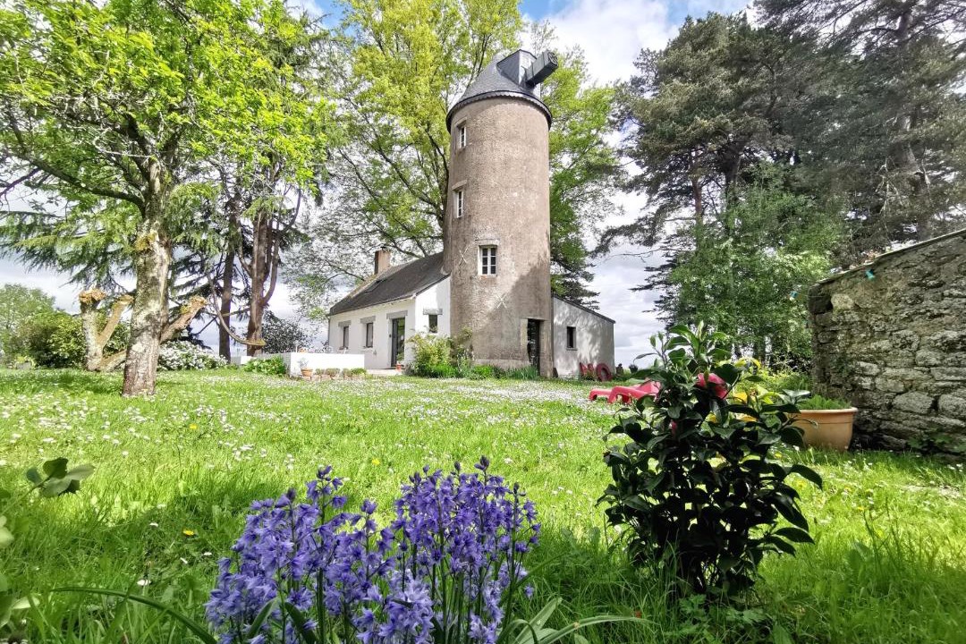 Photo of Others in Orvault