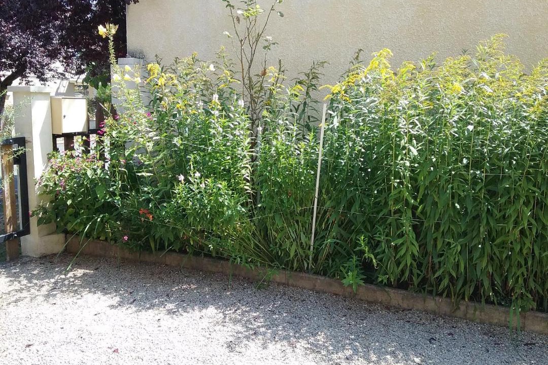 Photo of Others in Cubjac