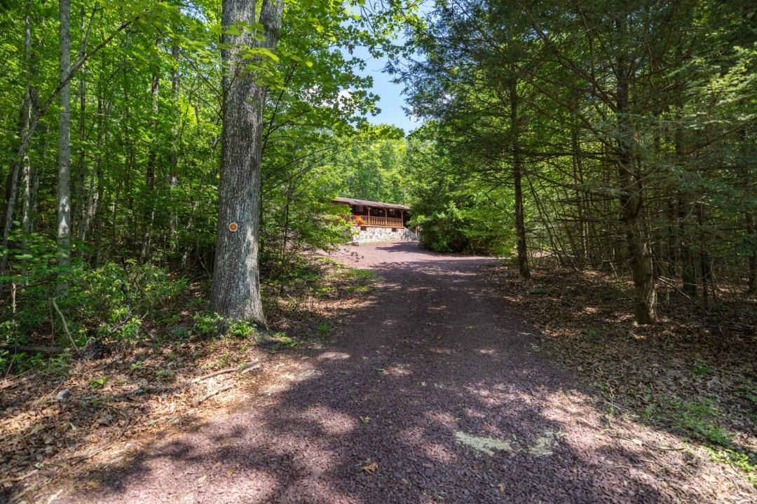 Photo of Others in Ashfield