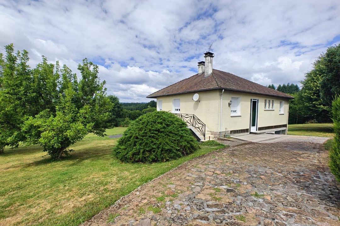 Photo of Others in Darnets