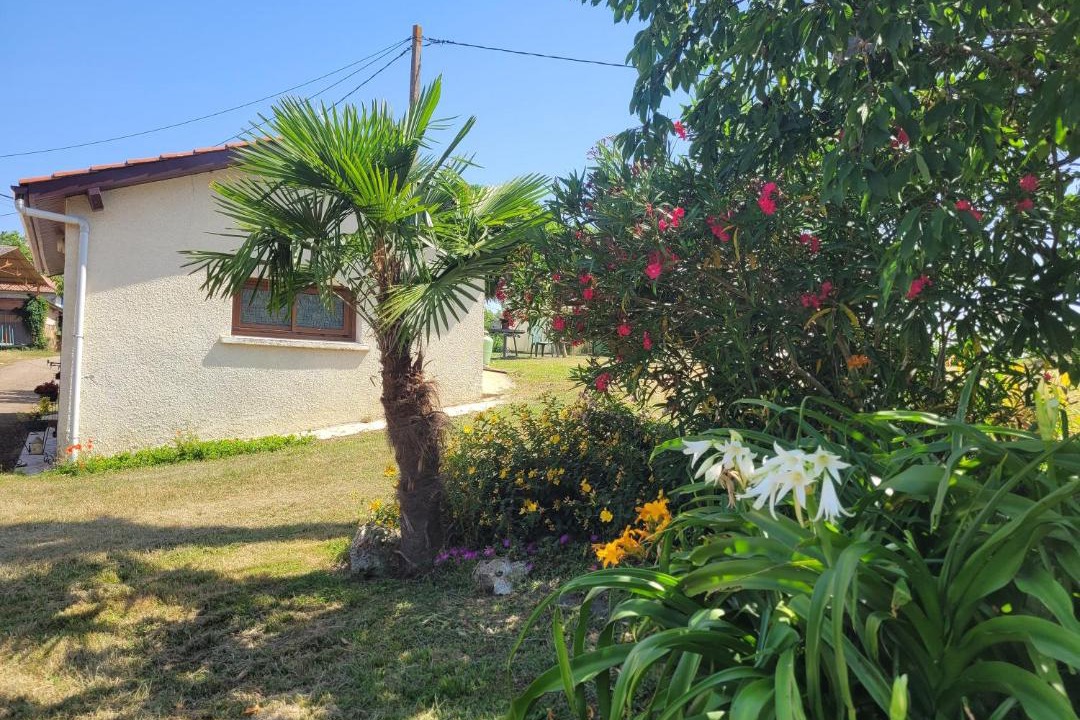 Photo of Others in Saint-Arroumex