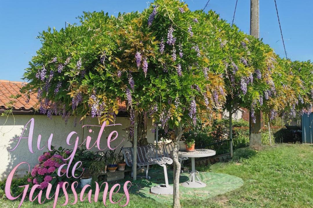 Photo of Others in Saint-Arroumex