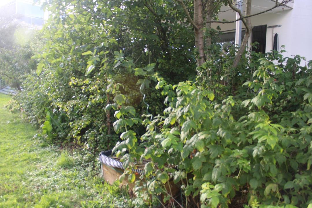 Photo of Others in Wunnewil-Flamatt