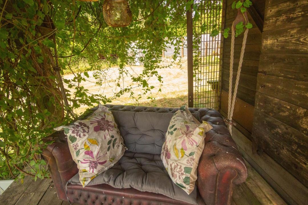 Photo of Others in Diss