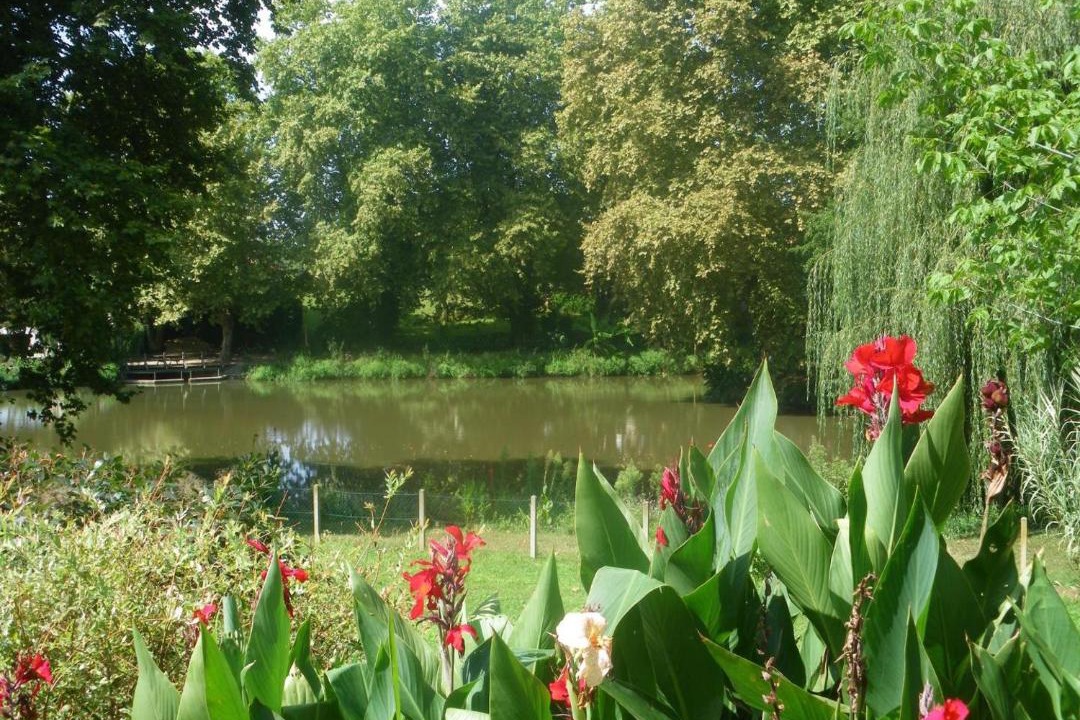 Photo of Others in Sort-en-Chalosse