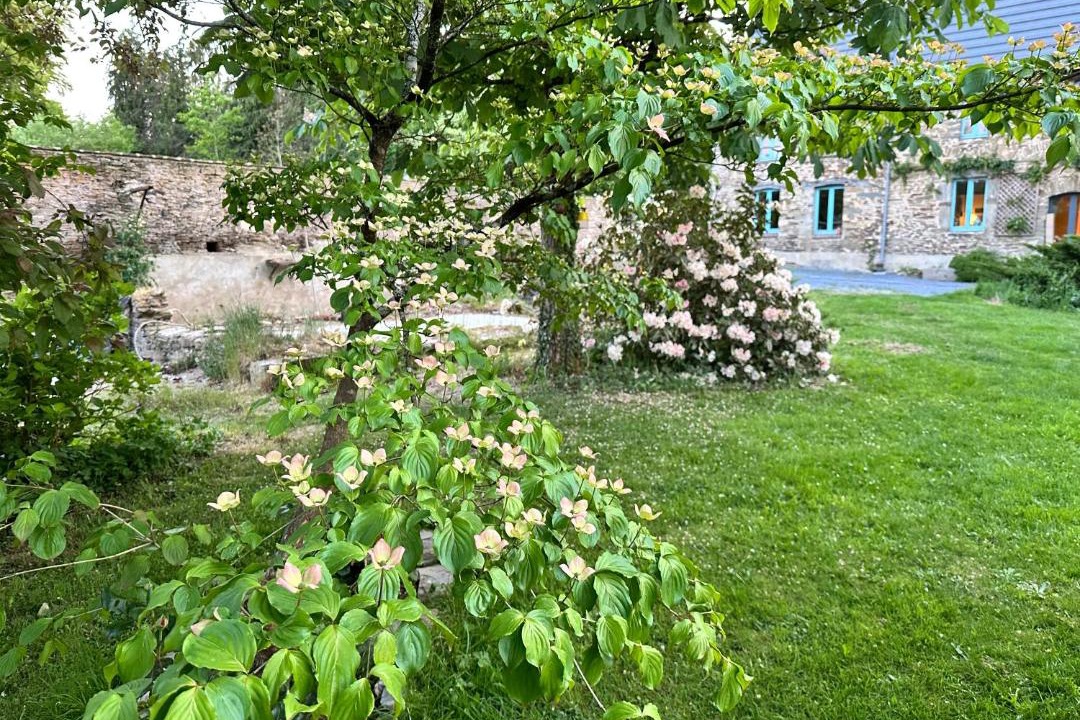 Photo of Others in Saint-Lo