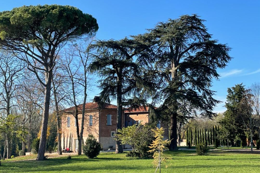 Photo of Others in Albi