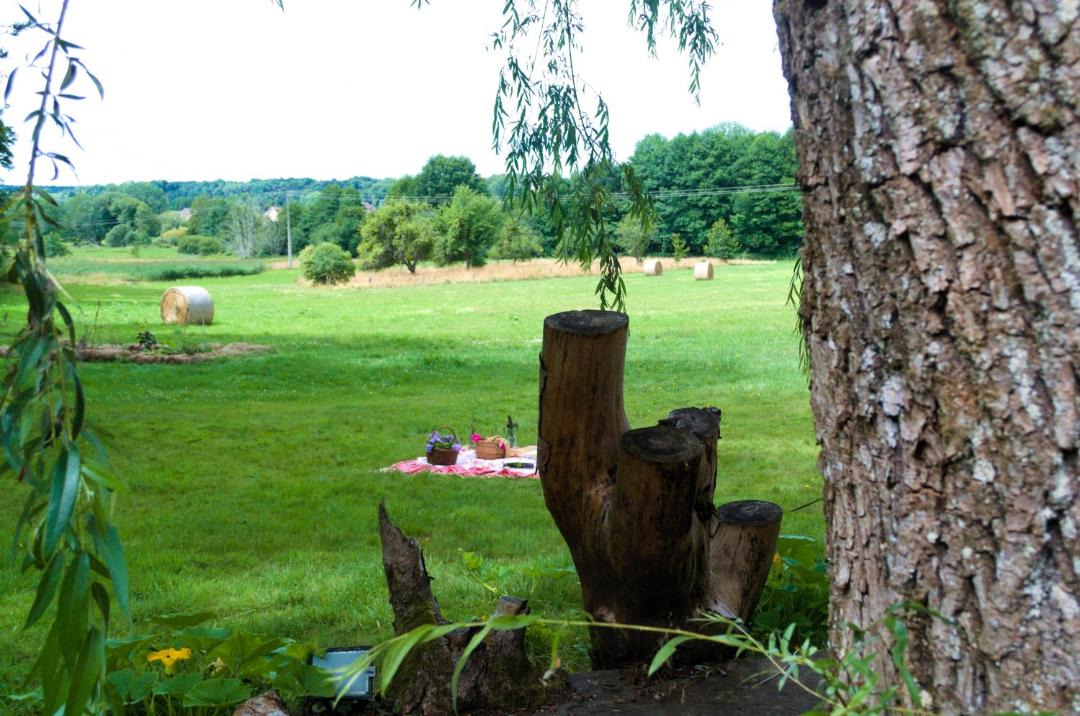 Photo of Others in Docelles