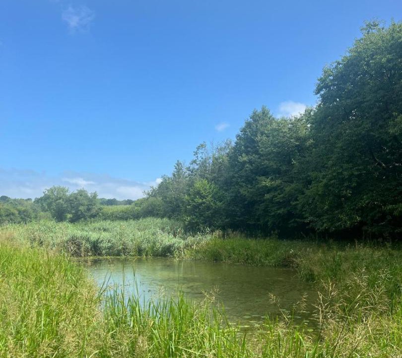 Photo of Others in Pentrefelin