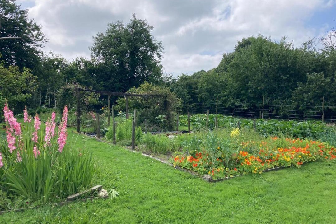 Photo of Others in Pentrefelin