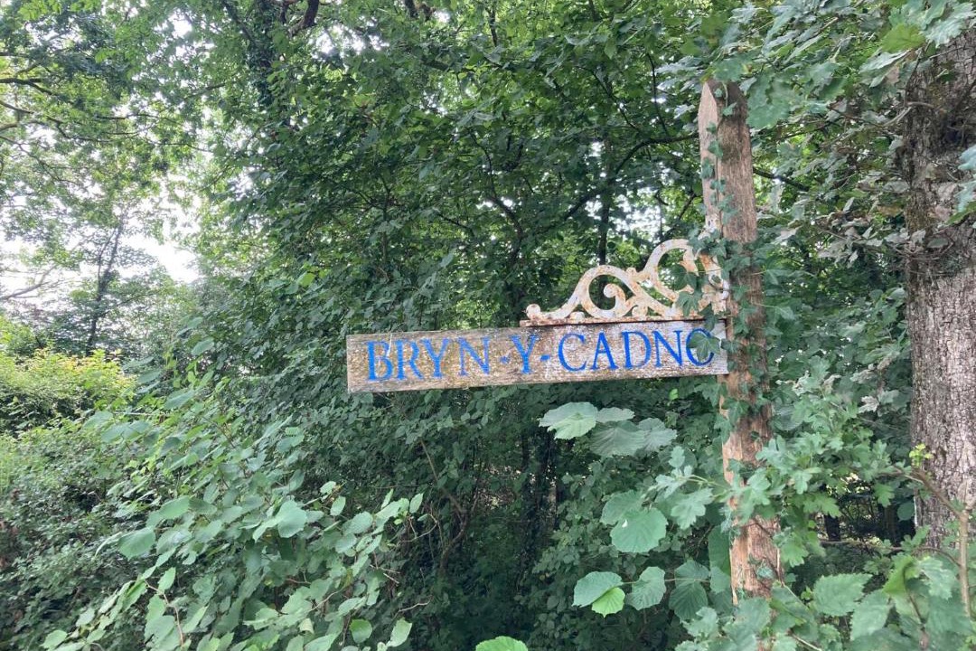 Photo of Others in Pentrefelin