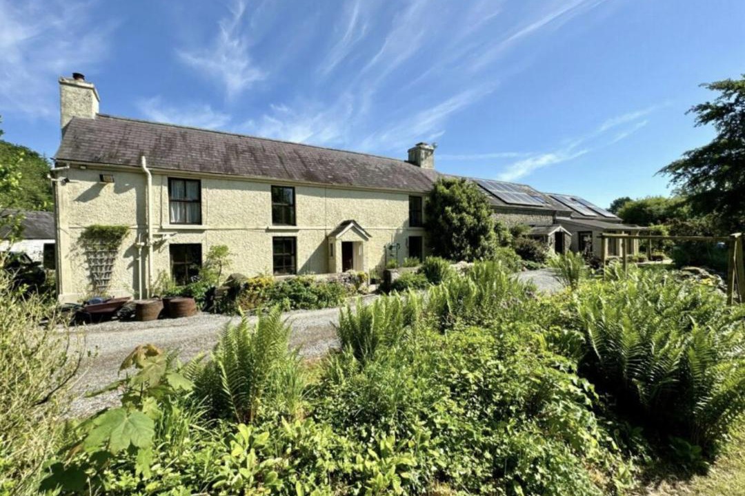 Photo of Others in Pentrefelin