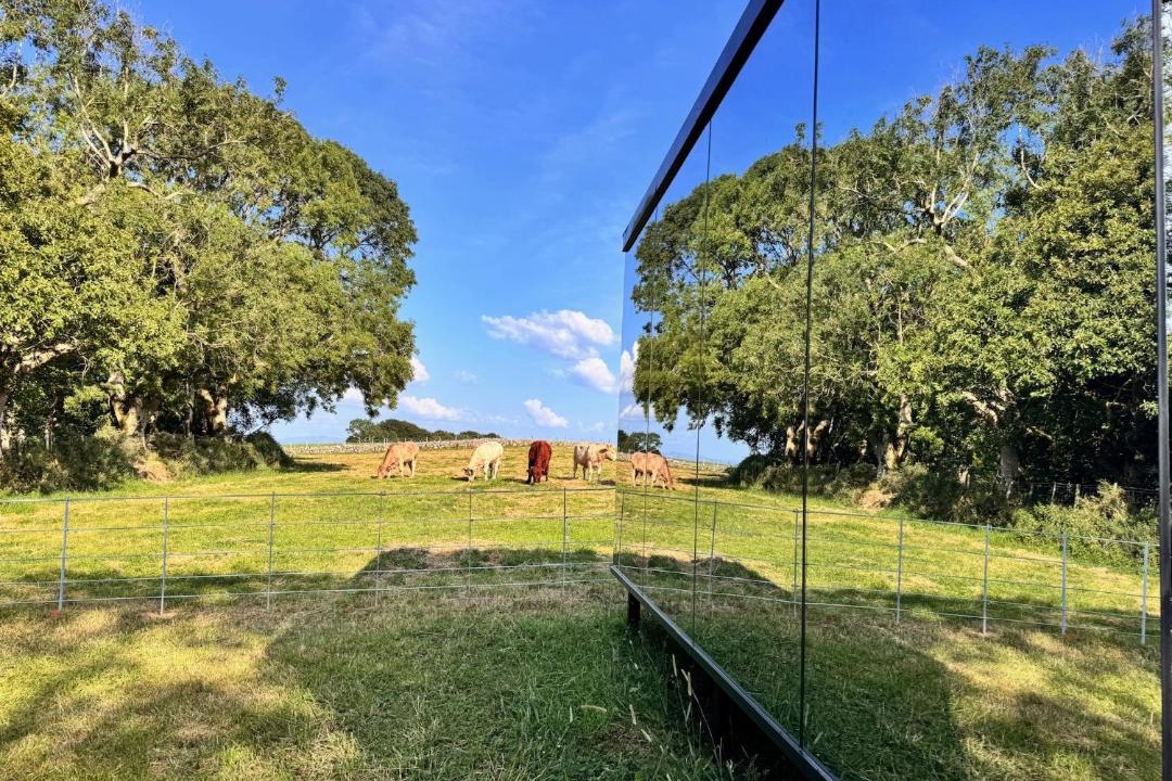 Photo of Others in Rhyd-y-clafdy