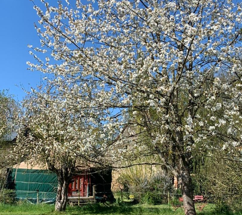 Photo of Others in Champrond