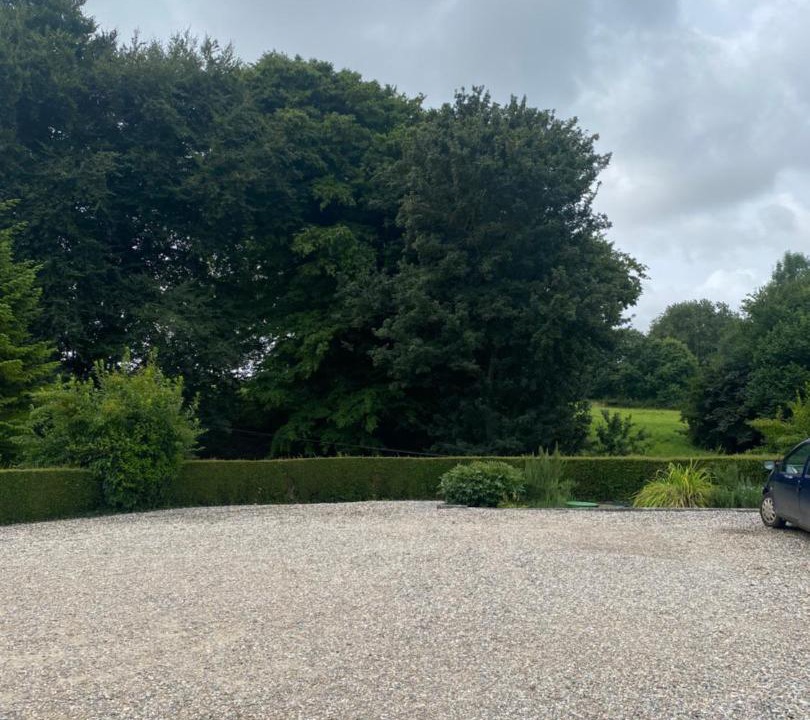 Photo of Others in Nibas