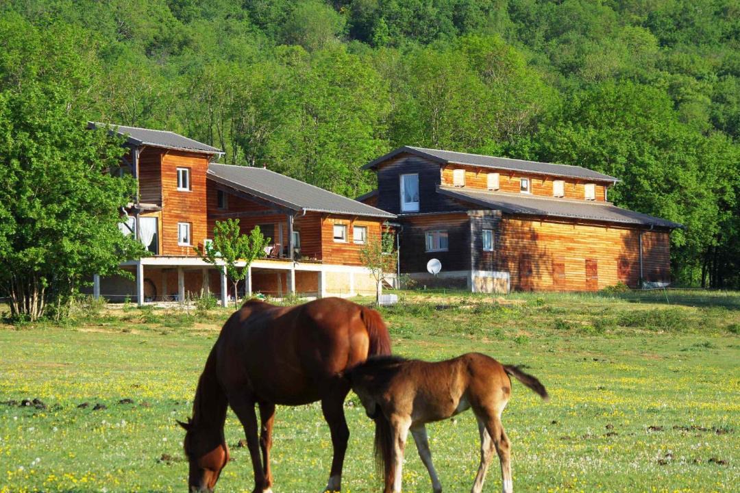 Photo of Buildings in Senaud