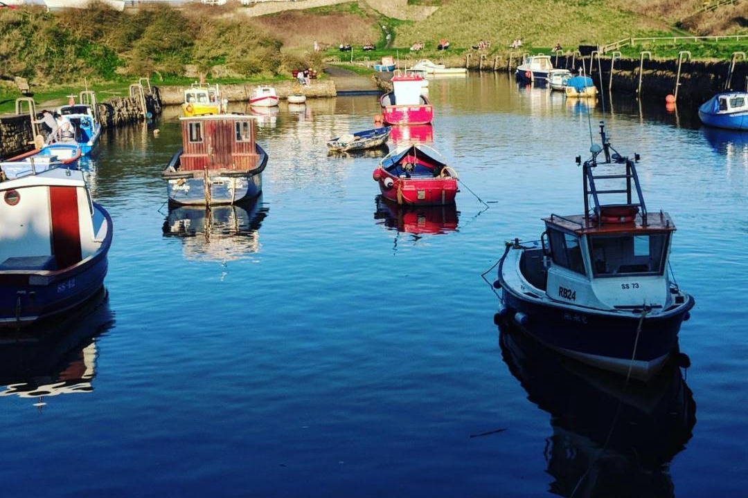 Photo of Others in Seaton Sluice