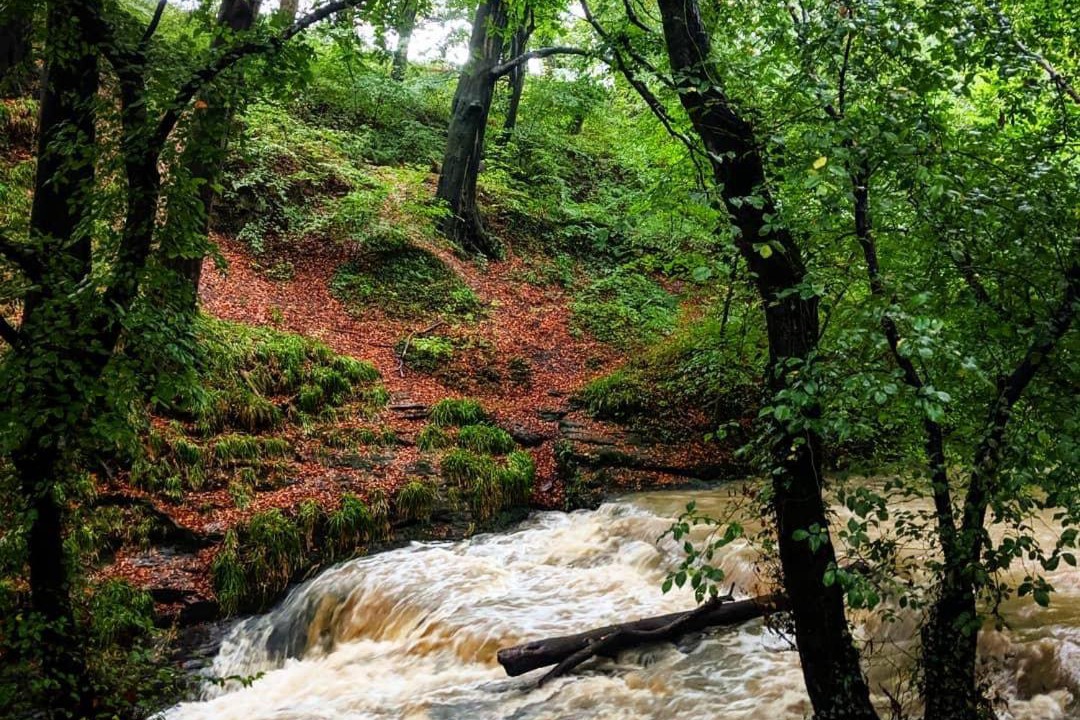 Photo of Others in Seaton Sluice