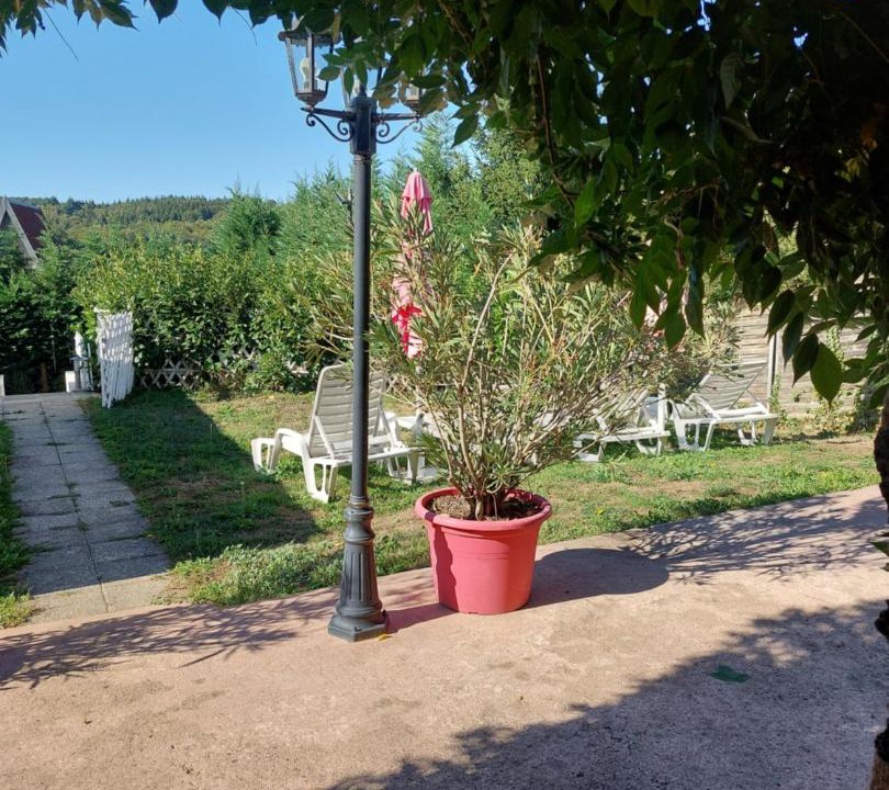 Photo of Others in Sarlande